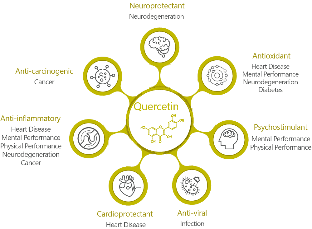 Quercetin extract benefits